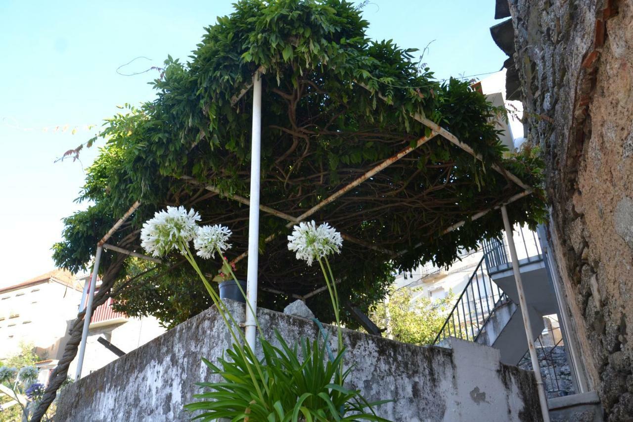 Casa Da Ponte Do Arrocho Villa Loriga Bagian luar foto